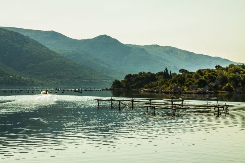 Ston Oyster & Wine Tasting Private Tour From Dubrovnik - Practicalities and Value