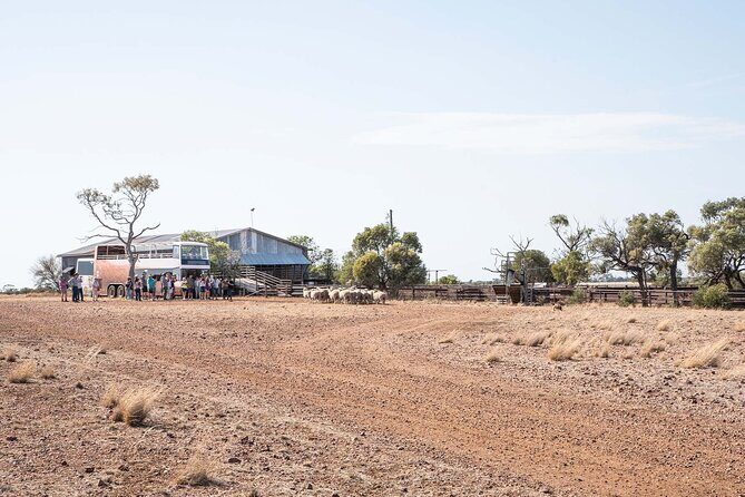 Stonegrill Dining Experience - FAQ