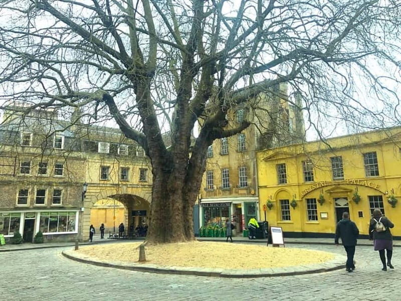 Stonehenge, Bath, Windsor and Roman Baths London Day Tours - Price and Value