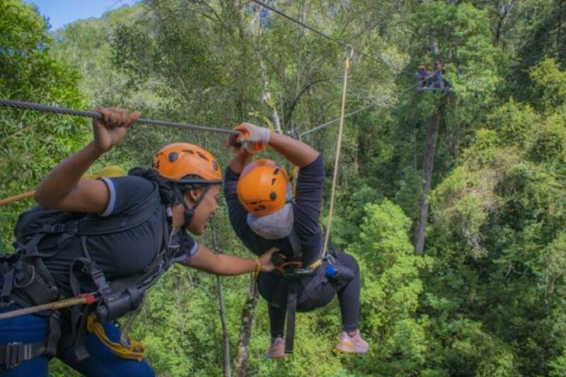 Storms River: Tsitsikamma National Park Zipline Canopy Tour - Good To Know