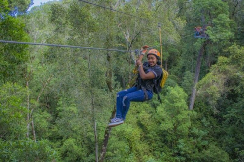 Storms River: Tsitsikamma National Park Zipline Canopy Tour - Unique Eco-Wilderness Adventure