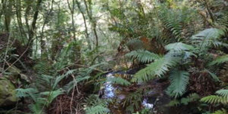 Stormsrivier Village : 2 Hour Bike Rental - Adults - Important Information