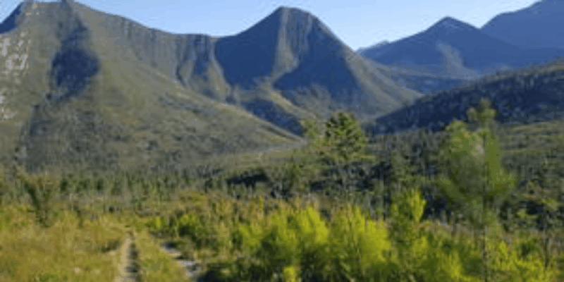 Stormsrivier Village: Bloukrans Pass Cycle Adventure - Adult - Safety Precautions