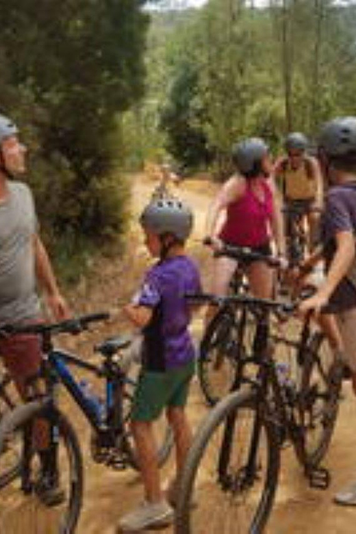 Stormsrivier Village: Bloukrans Pass Cycle Adventure - Child - Experience Highlights