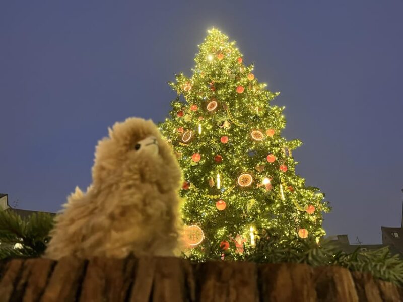 Strasbourg: Christmas Walking Tour With Mulled Wine - Discovering Strasbourgs Picturesque Old Town