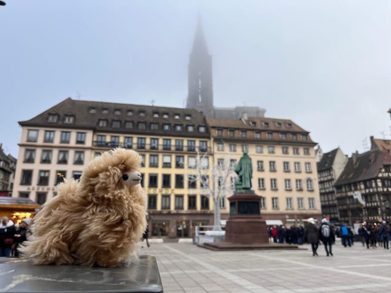 Strasbourg: Christmas Walking Tour With Mulled Wine - Indulging in Alsatian Holiday Treats