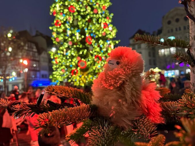 Strasbourg: Christmas Walking Tour With Mulled Wine - Wandering Through the Historic Center