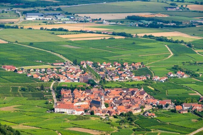 Strasbourg, Colmar, Eguisheim, Riquewihr: Private Excursion - Accessibility and Requirements