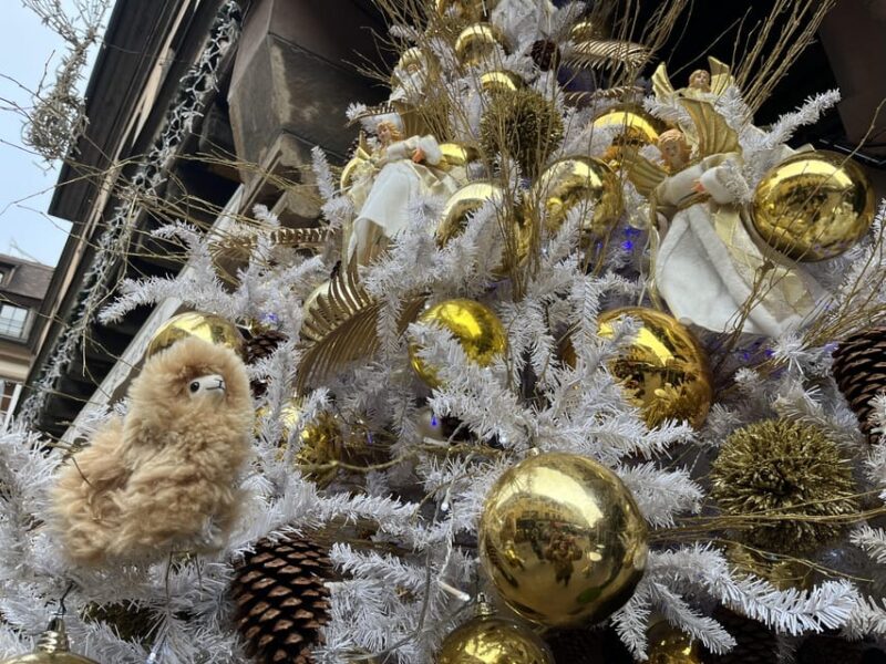 Strasbourg: Colmar, Villages & Castle Private Day Trip - Savoring Alsatian Cuisine