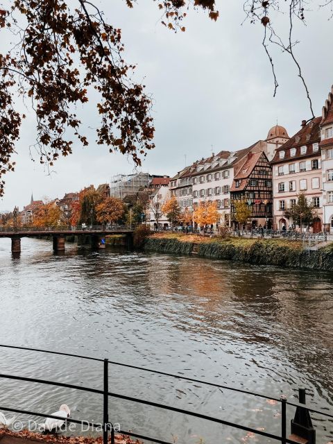 Strasbourg: Gastronomic and Walking Tour in the Old Town - Important Information