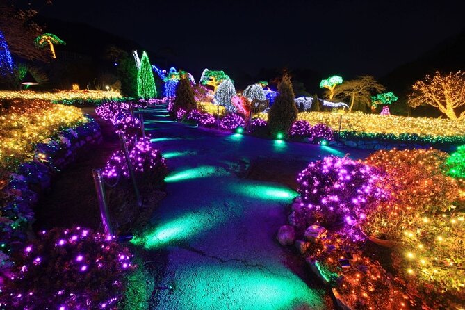 Strawberry & Eobi Valley & Nami Island & Garden of Morning Calm - The Garden of Morning Calm