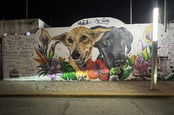 Street Art and Shopping Tour in Playa del Carmen - Who Will Love This Tour?