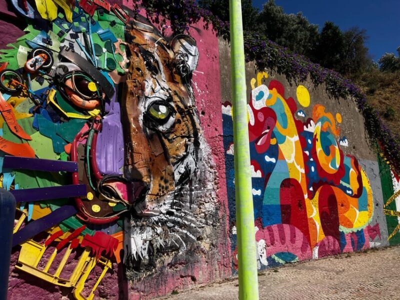 Street Art Lisbon: Tuk Tuk Tour - Final Thoughts: Who Is This Tour For?