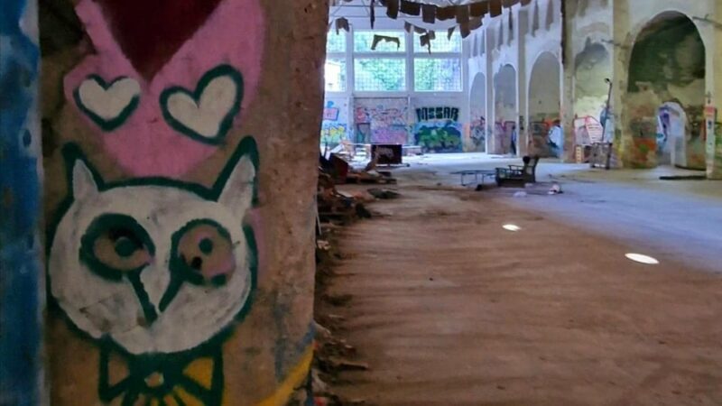 Street Art & Lost Place Tour in Rijeka - The Sum Up