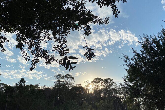 Street Executive Tours And Chauffeur Service Jamaica - Final Thoughts