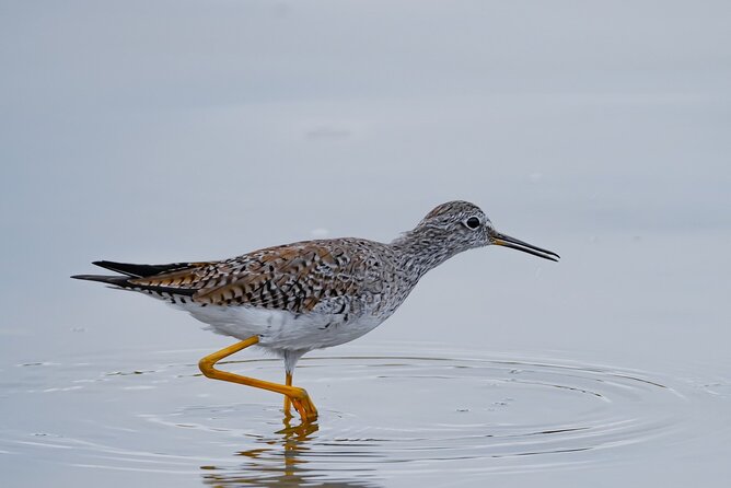 Strenuously Cotopaxi Volcano and Birding by the Lagoon (Private) - Pricing and Cancellation Policy