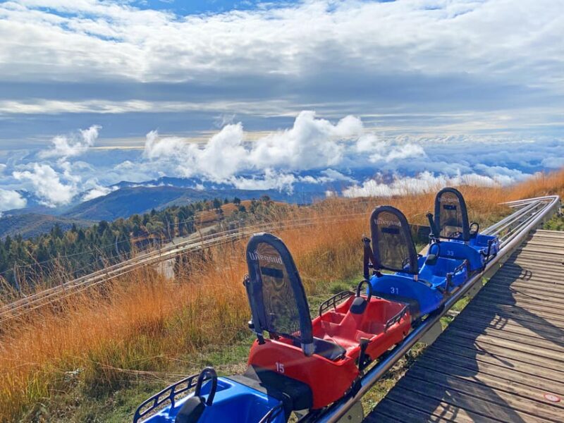 Stresa: Alpyland Alpine Coaster Ride on Mount Mottarone - Customer Impressions and Feedback