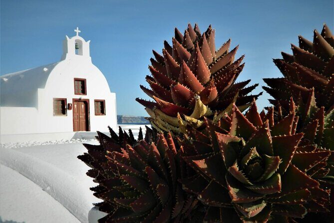 Stress-Free Santorini Shore Excursion: Private Highlights Tour - What Makes This Tour Stand Out