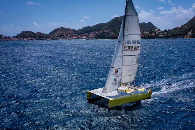 Stroll and Initiation to Sailing in the Baie des Saintes - Key Points