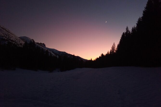 Stroll in the stars Private activity - Authenticity and Review Insights