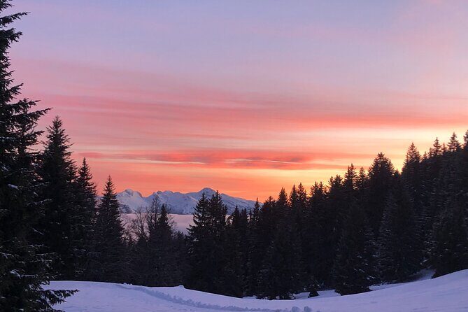 Stroll in the stars Private activity - FAQ