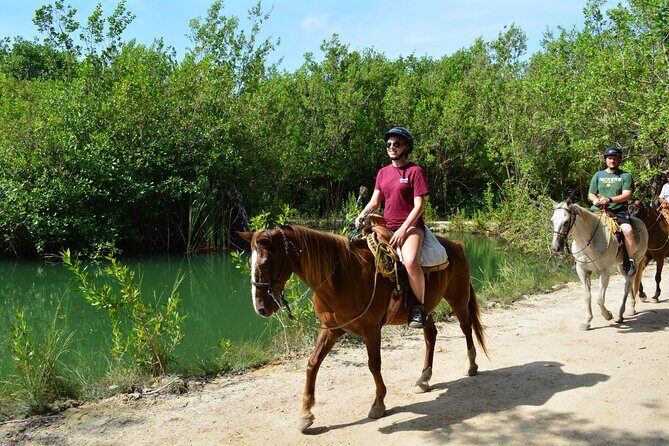 STROLL the Jungle Trails on a HORSE. Includes Transportation and Equipment. - FAQs