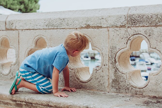 Stunning Dubrovnik - Family Walking Tour - Accessibility and Participation