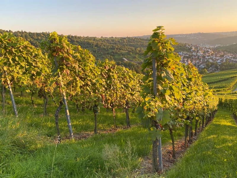Stuttgart: After work wine walk with tasting - Key Points