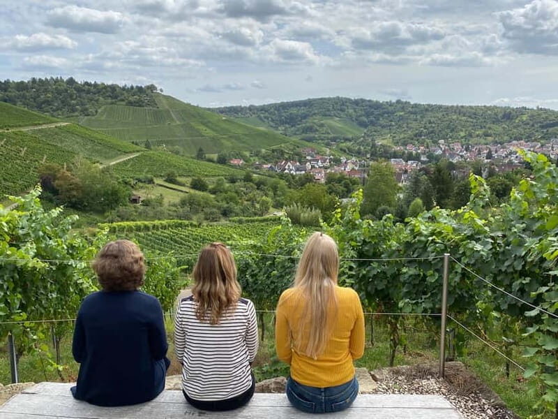 Stuttgart: After work wine walk with tasting - Why This Tour Works
