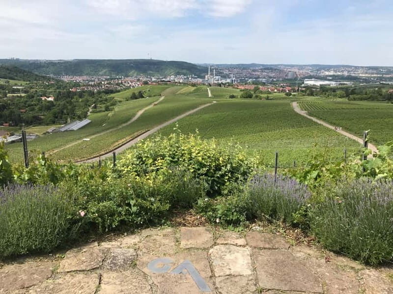 Stuttgart: E-bike wine tour including tasting - An In-Depth Look at the E-bike Wine Tour Experience