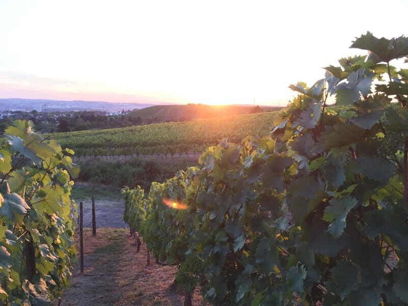 Stuttgart: E-bike wine tour including tasting - Final Thoughts