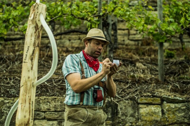 Stuttgart: Guided Vineyards Tour - Exploring the Stuttgart Vineyards: A Detailed Overview