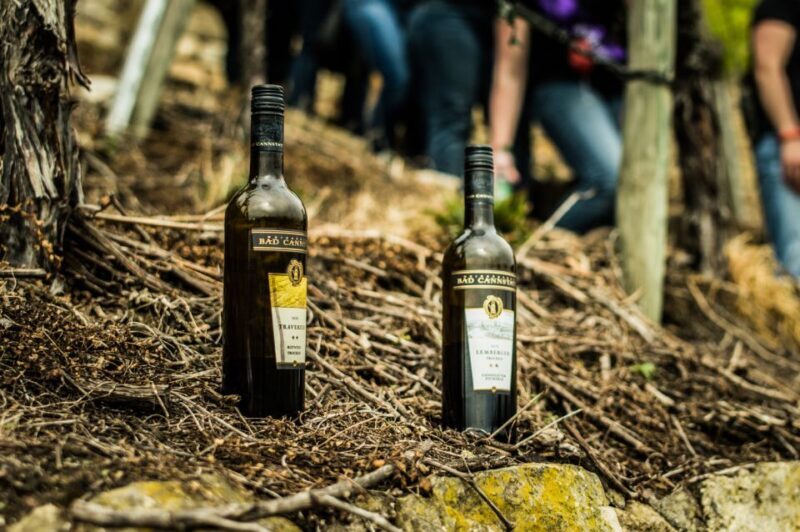 Stuttgart: Guided Vineyards Tour - Practical Details and Logistics