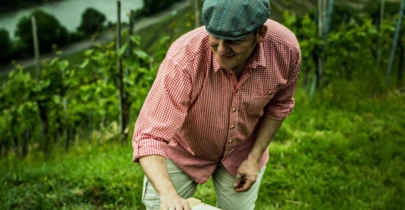 Stuttgart: Guided Vineyards Tour - FAQ