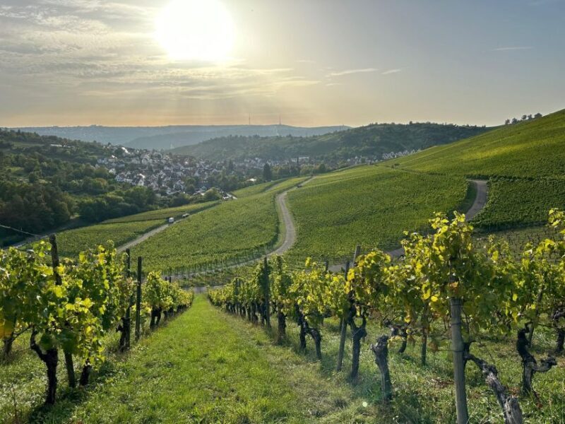 Stuttgart: Sparkling Wine Tour - Key Points