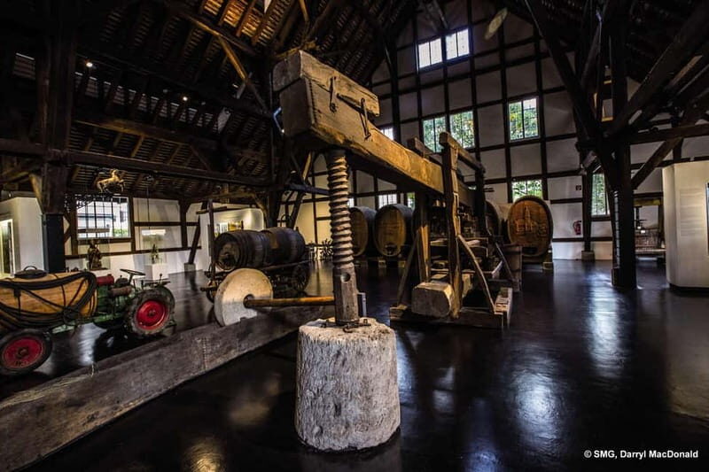 Stuttgart: Taster tour of the Wine Museum incl. 0.1 l wine - Key Points