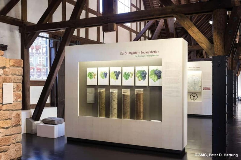 Stuttgart: Taster tour of the Wine Museum incl. 0.1 l wine - Why This Tour Offers Real Value