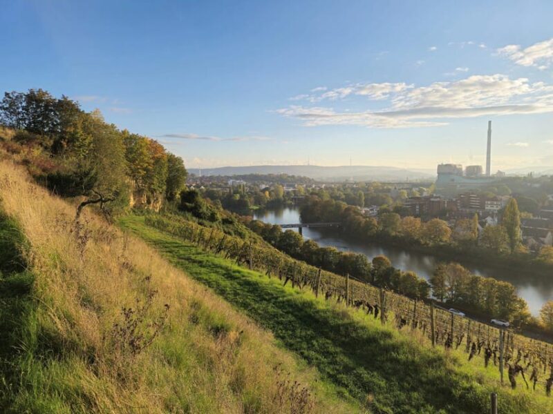 Stuttgart: Wine & Tapas Boat Tour on the Neckar - Key Points