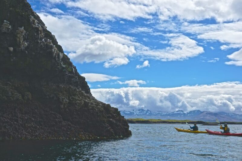 Stykkishólmur: 2-Hour Sea Kayak Tour - Wildlife Encounters