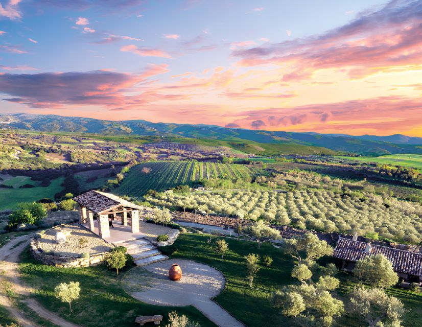 Su Nuraxi and Olianas Winery Tour With Cellar Lunch - Visiting Casa Zapata