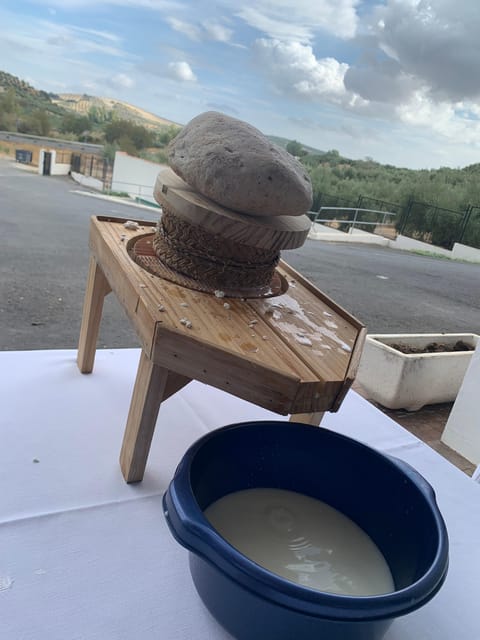 Subbética: Artisanal Cheese Making Workshop in Los Balanchares - Workshop Itinerary