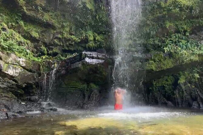 Sueños de Cafe - A Coffee Lovers Dream - Analyzing the Value and Experience