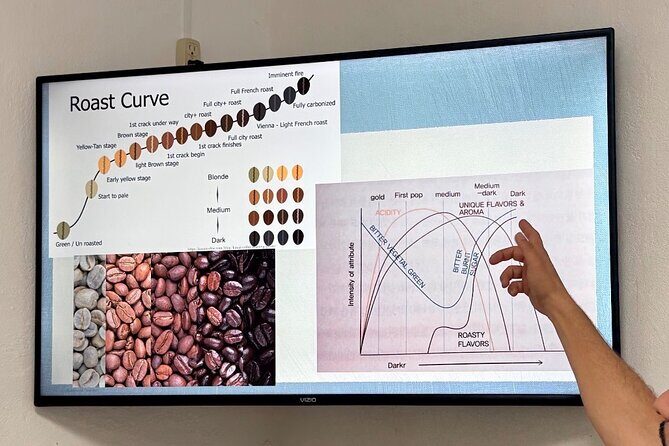 Sueños de Cafe - A Coffee Lovers Dream - The Sum Up