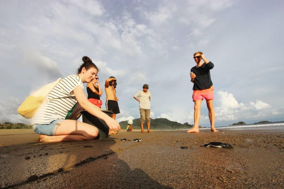 Sukamade: A Private Tour To See Turtle Lay Egg (2D/1N) - Recommended Items