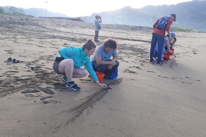 Sukamade Adventure -Turtle Beach Tour - Guest Reviews and Experiences