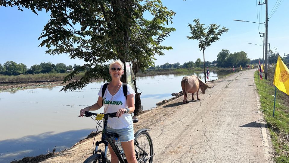 Sukhothai: Half-Day Countryside Bike Tour - Countryside Highlights