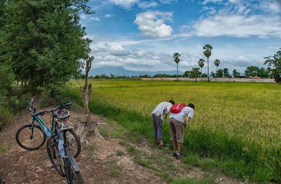 Sukhothai: Half-Day Countryside Bike Tour - Booking and Cancellation