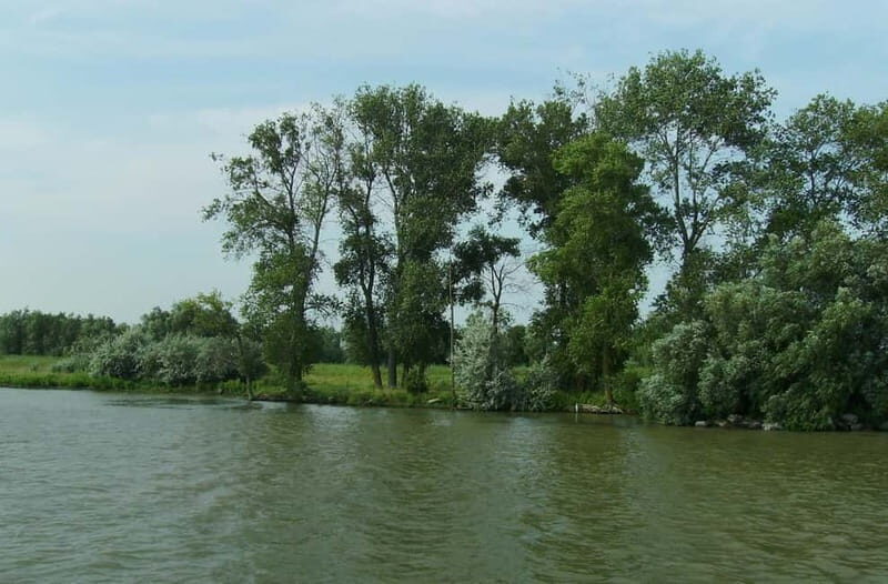 Sulina: Letea Forest Day Trip - Sulina: Letea Forest Day Trip – A Guide to the Danube Delta’s Hidden Gems