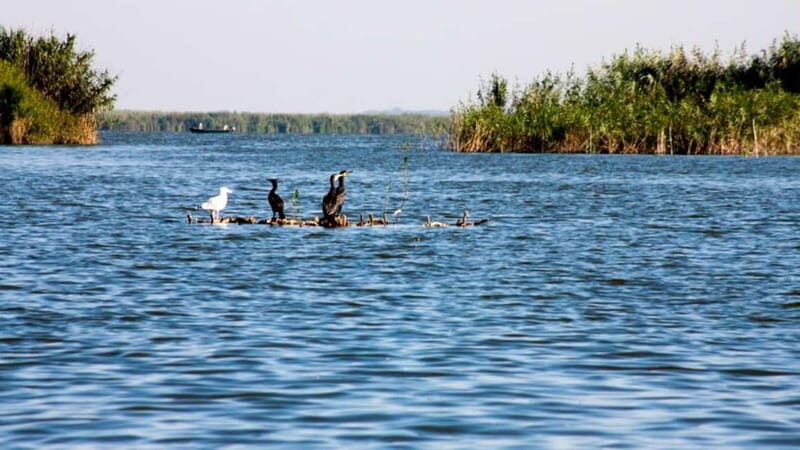 Sulina: Mila 23 Village Boat Trip in the Danube Delta - Key Points