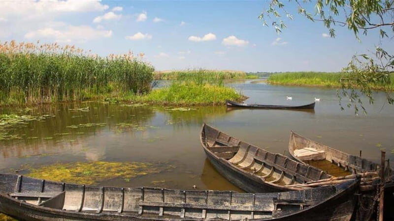 Sulina: Mila 23 Village Boat Trip in the Danube Delta - The Value of This Experience